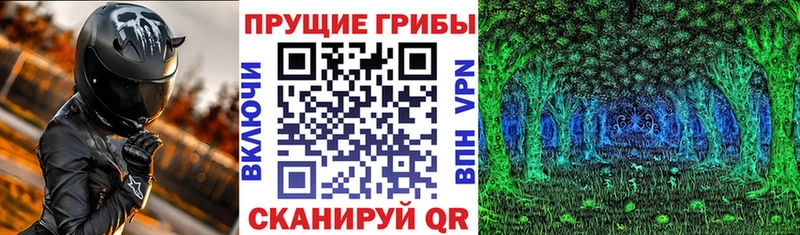 darknet какой сайт  Яранск  Псилоцибиновые грибы Cubensis 